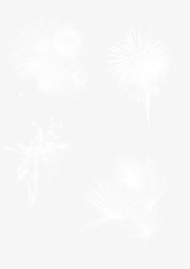 白色四组烟花免抠
