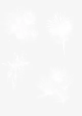 白色四组烟花免抠