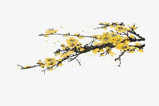 梅花免抠