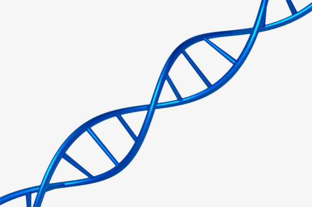 藏青色逼真dna遗传物质基因肽免抠