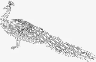 黑白孔雀模型免抠