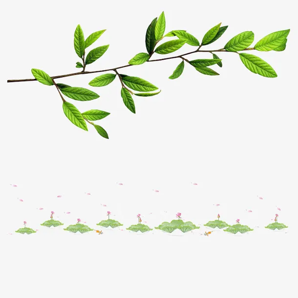 树枝免抠