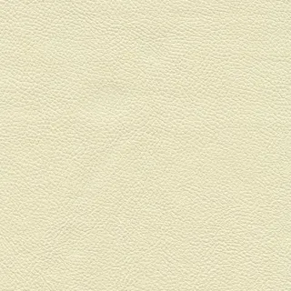 带图案的白色皮革背景