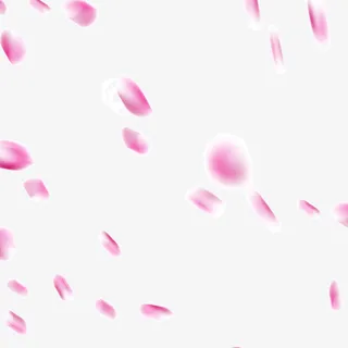 撒花粉色庆祝免抠漂浮花瓣元素