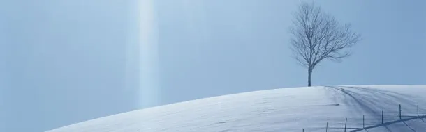 雪景背景图