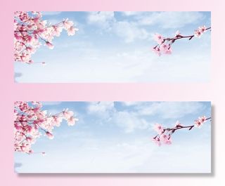 木棉花的春天高清文艺清新背景