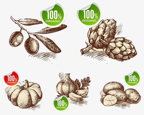 手绘蔬菜土豆蒜头免抠