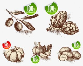 手绘蔬菜土豆蒜头免抠