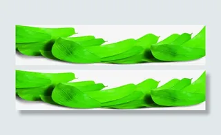 端午节粽叶绿叶一堆粽叶免抠