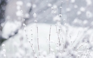 雪后唯美浪漫风景免抠