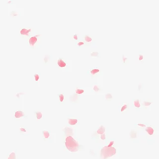 粉色漂浮花瓣免抠