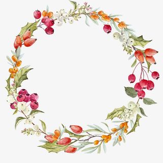 红果果圆环手绘图免抠