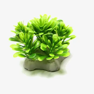 爱信造景仿真水草水族箱布景免抠