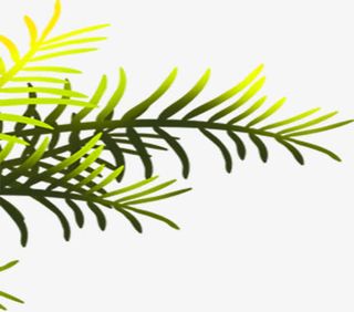 手绘叶子喷绘图片免抠