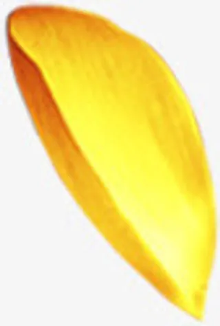 金色细长花瓣中秋免抠