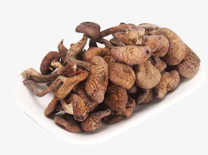 一碟榛蘑图片素材免抠