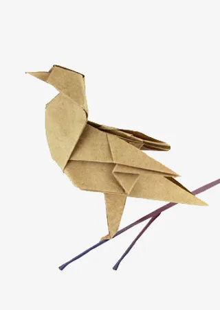 折纸鸟免抠