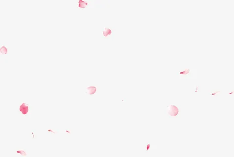 漂亮的花瓣免抠