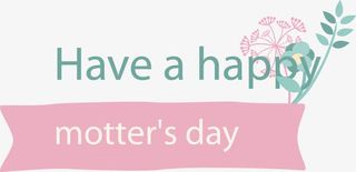 母亲节花卉元素免抠