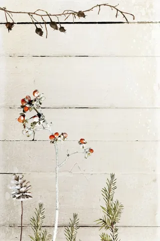 金色奢华树枝小鸟灰色植物树叶典雅广告背景高清