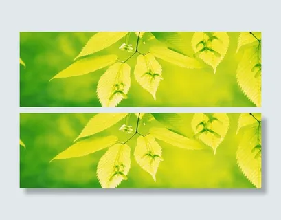 树叶背景 树叶背景