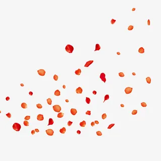 创意合成效果飞扬的花瓣免抠