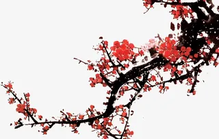 梅花，冬天，装饰免抠