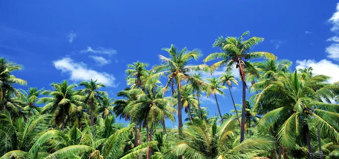 淘宝背景图高清