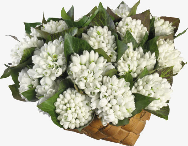 白色花束素材免抠