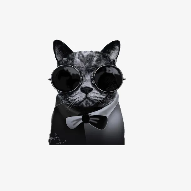 戴眼镜的酷炫猫免抠