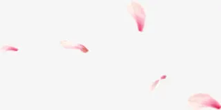 植物花瓣小清新唯美漂浮效果免抠