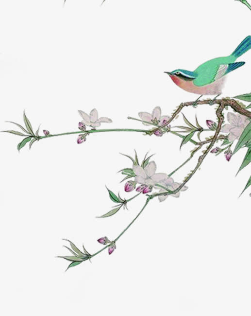 涂鸦效果树枝鸟设计免抠