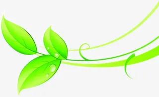 手绘春季树叶水滴免抠