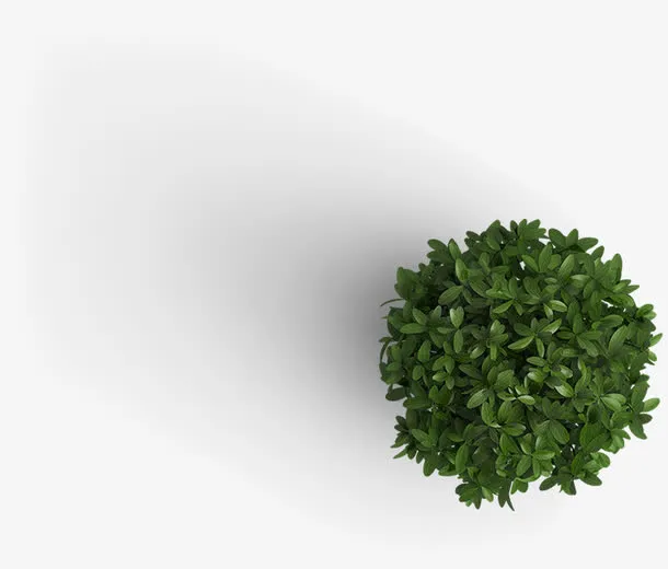 创意合成绿色的植物盆栽效果免抠