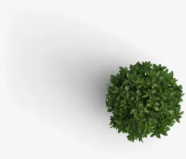 创意合成绿色的植物盆栽效果免抠 创意合成绿色的植物盆栽效果免抠