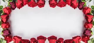 七夕浪漫花朵白色背景高清