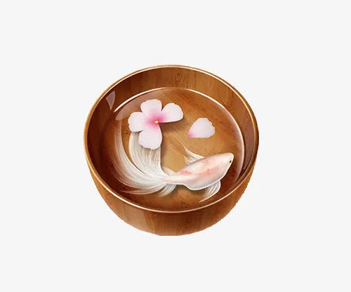 金鱼免抠