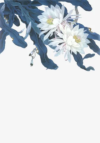 卡通手绘美丽的昙花免抠