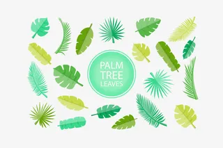 绿色树叶矢量素材免抠