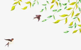 春天小燕子免抠