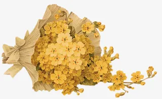 梦幻元素唯美元素 黄色花束免抠