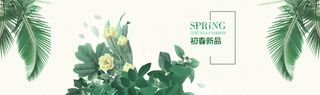 淘宝春夏女装banner背景 椰子树 绿色植物高清