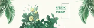 淘宝春夏女装banner背景 椰子树 绿色植物高清