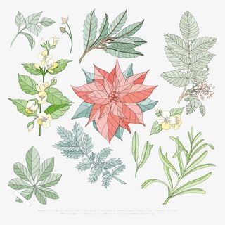 手绘绿色叶子底纹装饰免抠图免抠