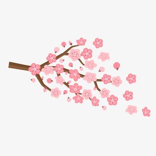 春天花开植物花卉花环桃花矢量素免抠