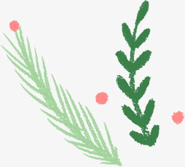 手绘圣诞装饰花草免抠