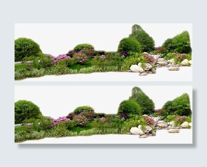 绿色树林石头小路免抠