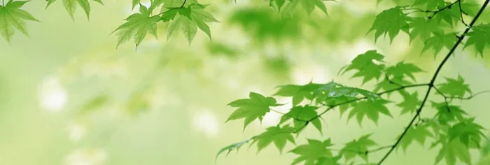 简约背景高清