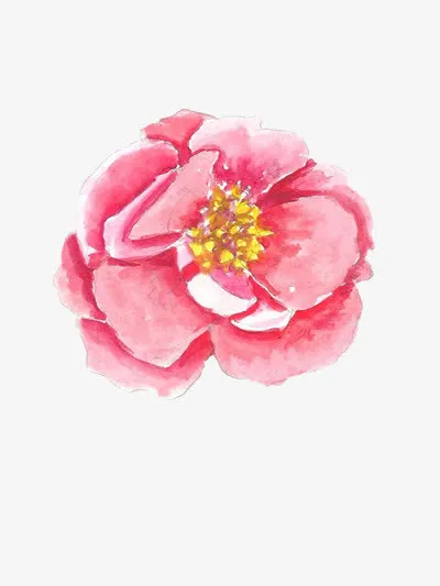 水彩水墨牡丹花素材免抠