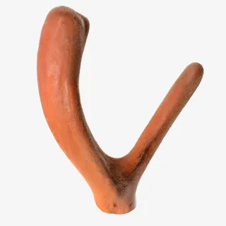 新鲜梅花鹿茸药用免抠